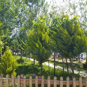 Frühstückspension Deniz Kizi Garden