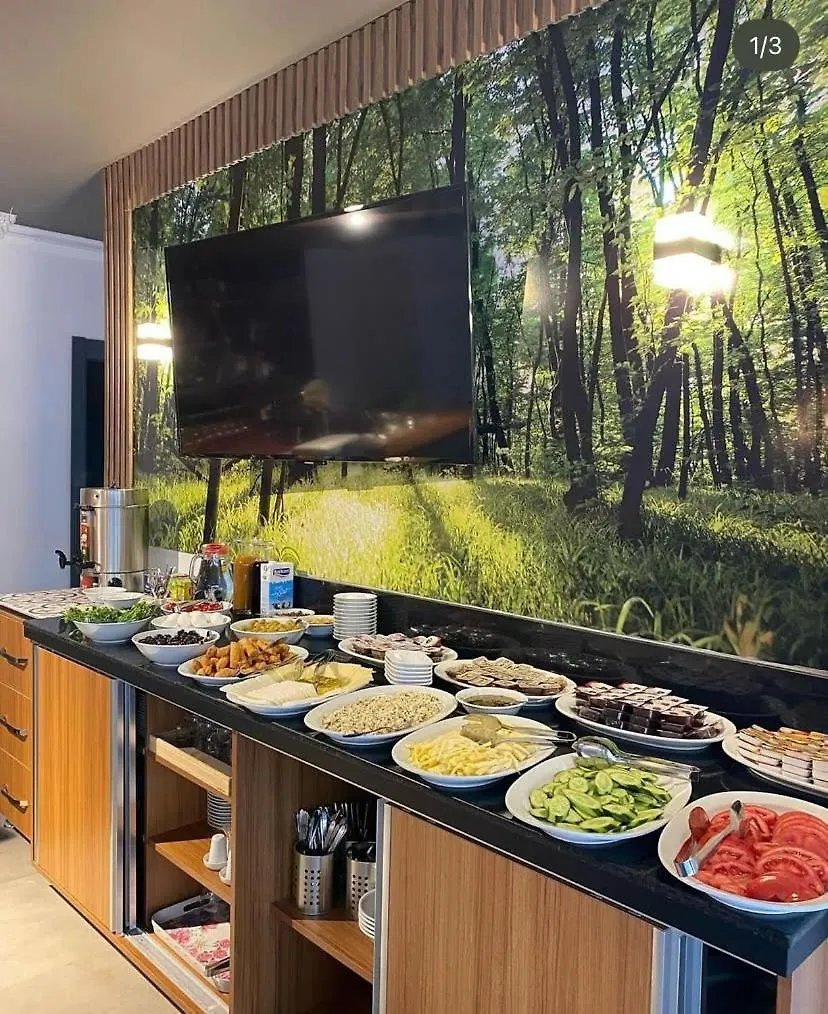 Rodis Hotel Gumuldur 3*,  Turkey